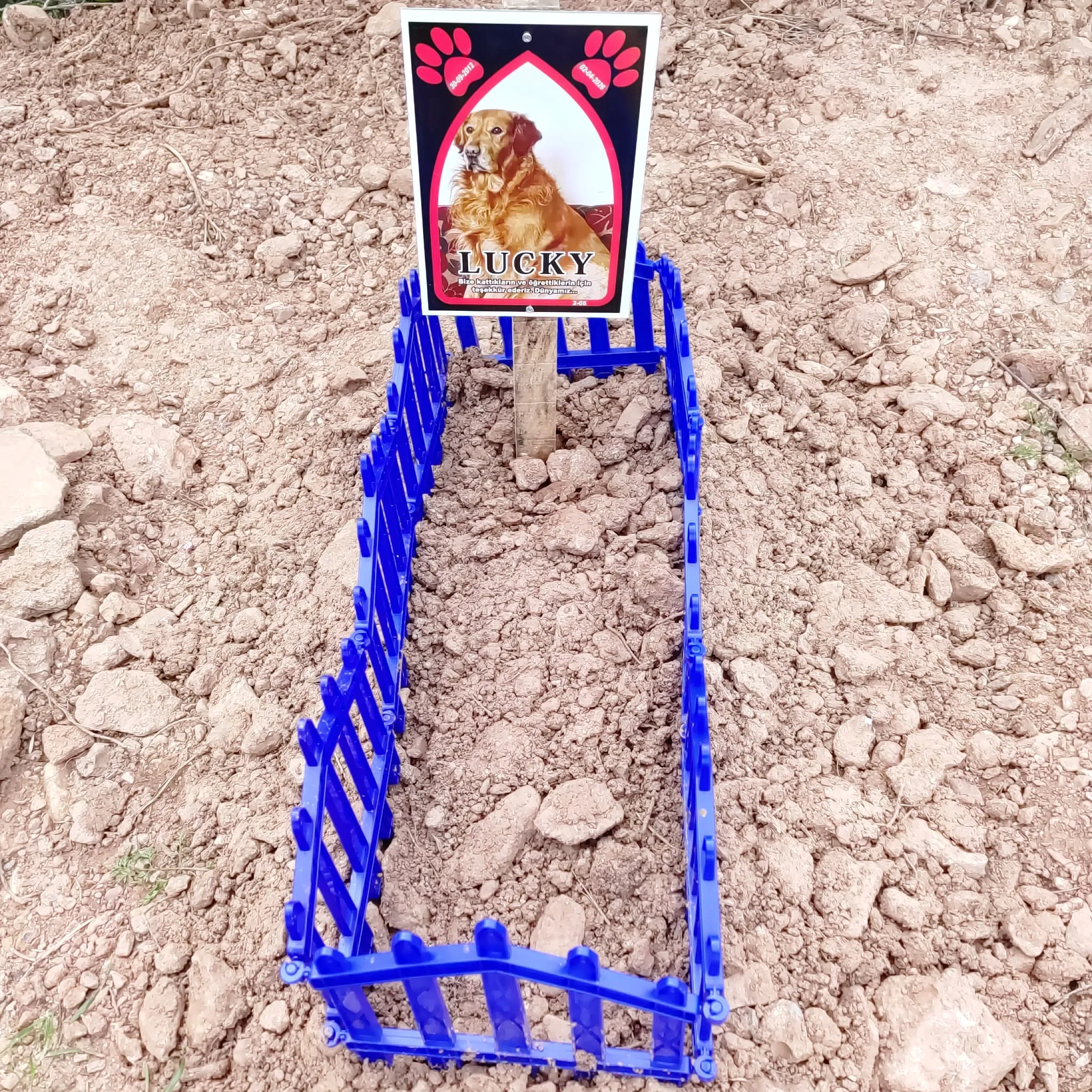 EGE PET anı 14