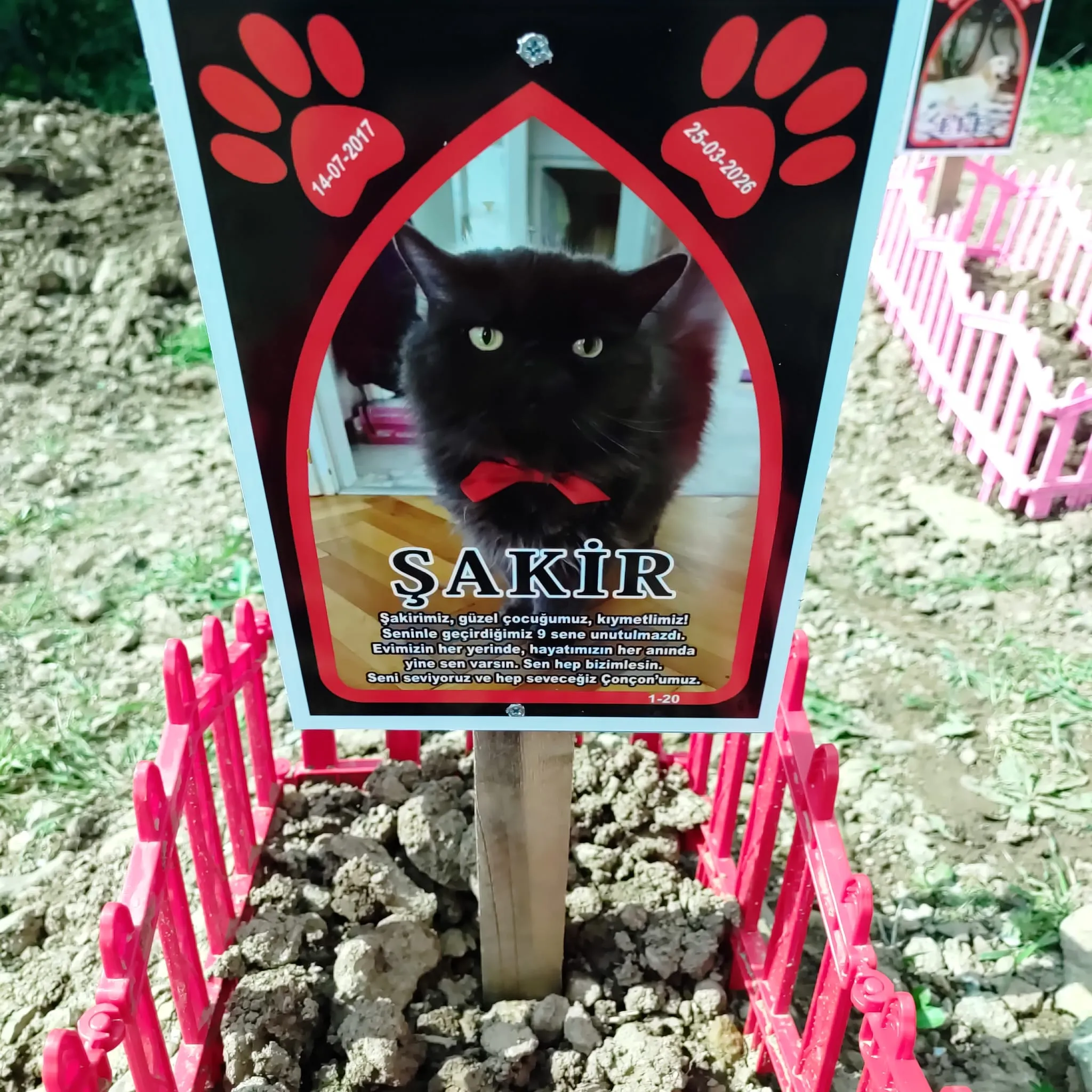 EGE PET anı 15