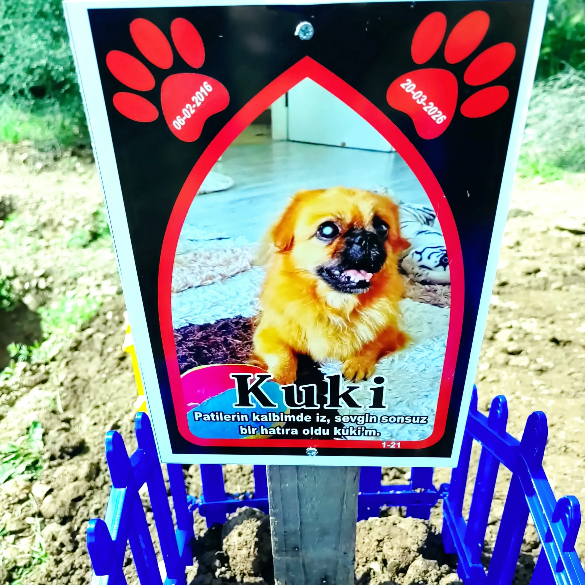 EGE PET anı 17