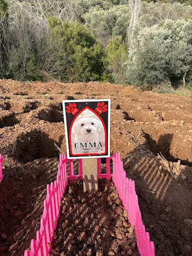 EGE PET anı 21