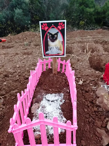 EGE PET anı 22