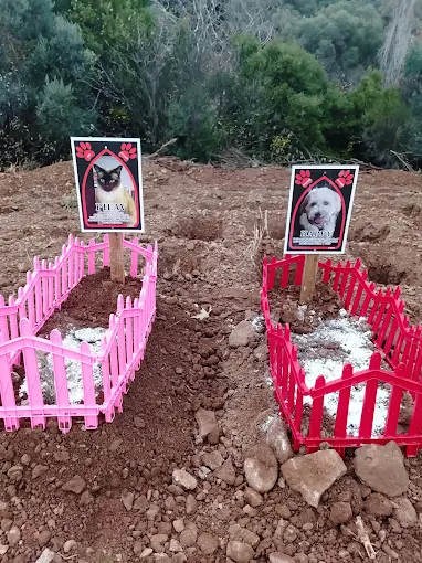 EGE PET anı 23